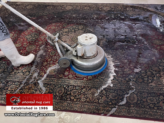 Oriental Rug Deep Cleaning Service Dania