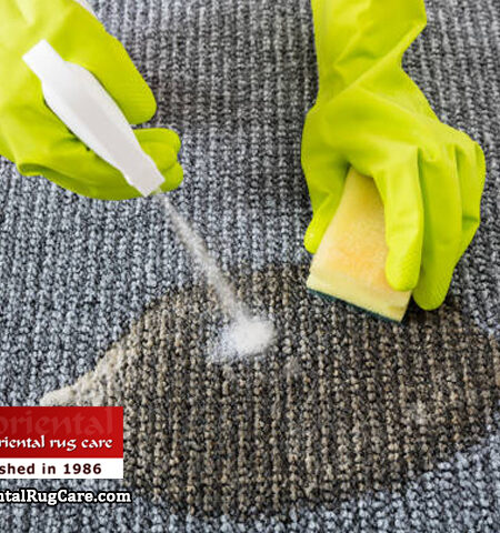 Pet Stain Removal from Rugs Miami Beach
