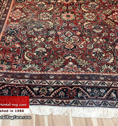 Rug Cleaning Specialists Hallandale