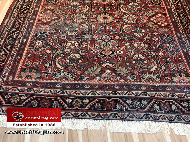 Rug Cleaning Specialists Hallandale