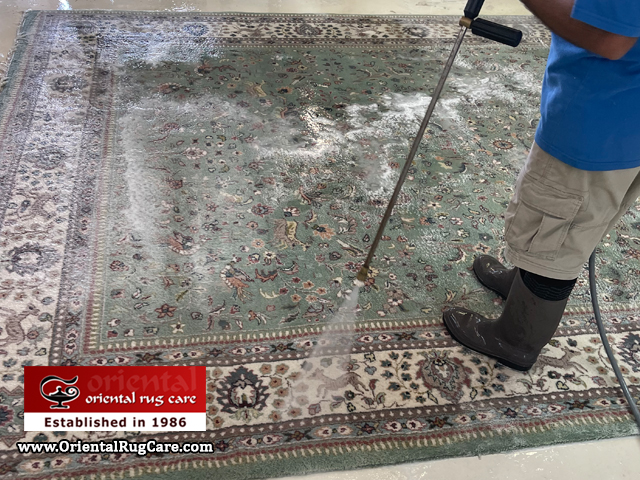 Rug Stain Deep Cleaning Dania