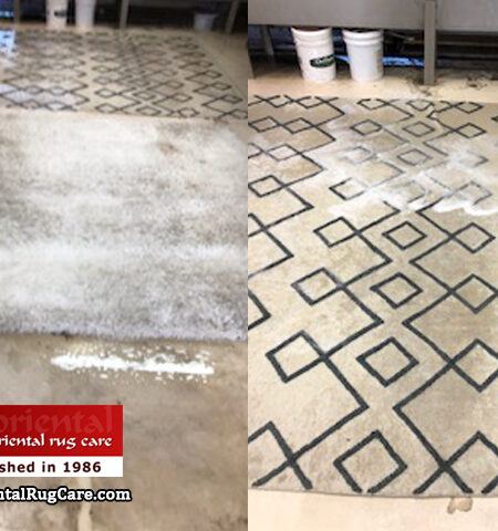 Area Rug Cleaning Coral Gables