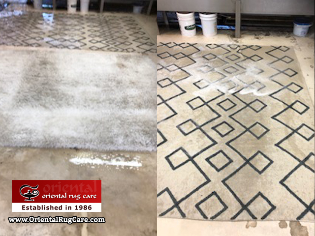 Area Rug Cleaning Coral Gables
