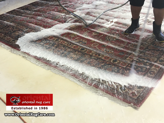 Best Rug Stain Cleaner Miami-Dade