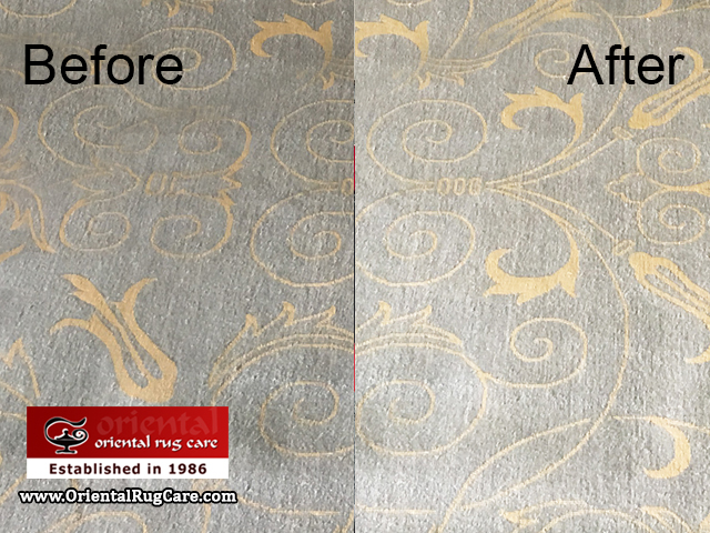 Modern Rug Care Service Plantation