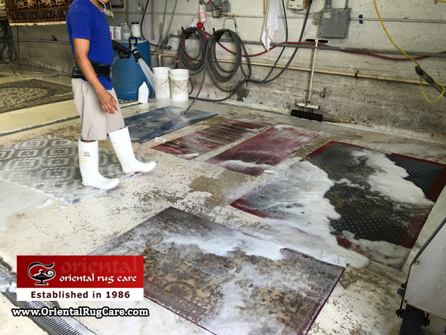 Persian Rug Washed Service