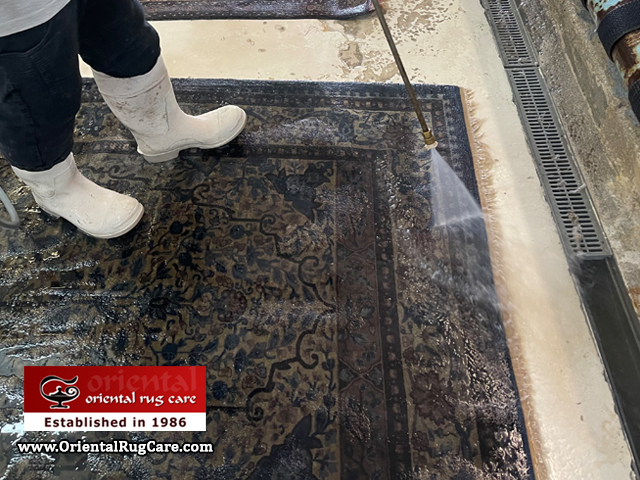 Rug Cleaning Tips Parkland
