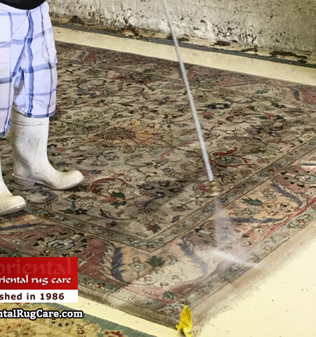 Rug Pet Stain Cleaning Service Miami