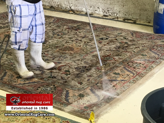Rug Pet Stain Cleaning Service Miami