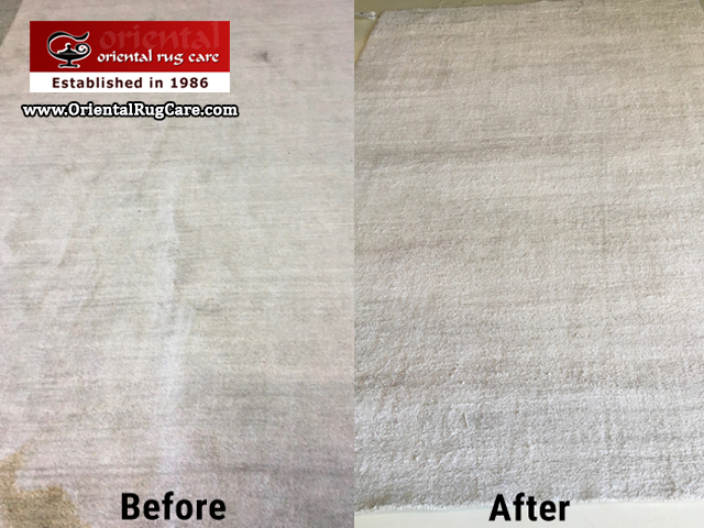 Modern Rug Cleaning Services Dania