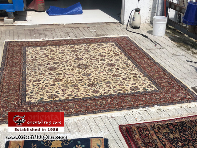 Persian Rug Cleaning Expertise Hialeah