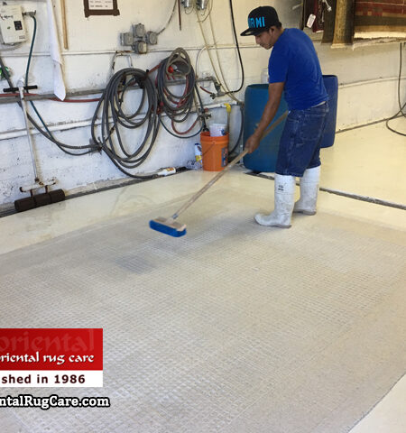 Rug Cleaning Process Broward