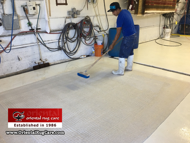 Rug Cleaning Process Broward