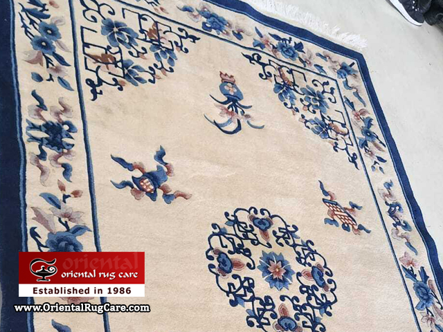 Modern Rug Care Clean Service Fort Lauderdale