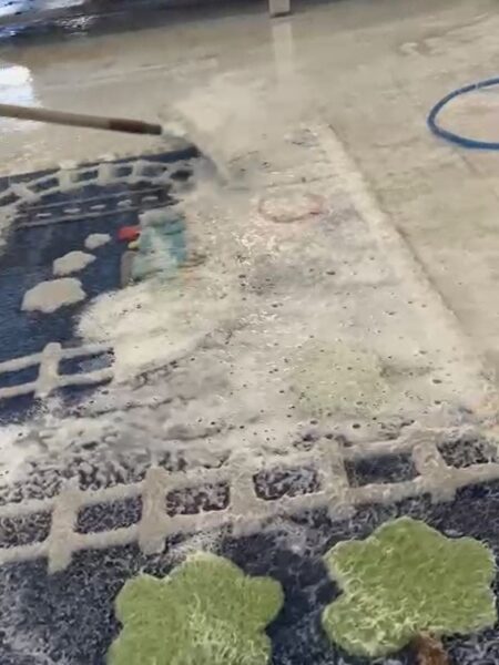 Area Rug Cleaning Service