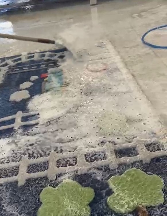 Area Rug Cleaning Service