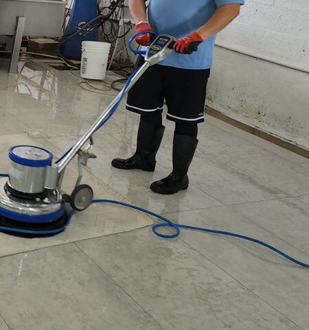 Oriental Rug Cleaning