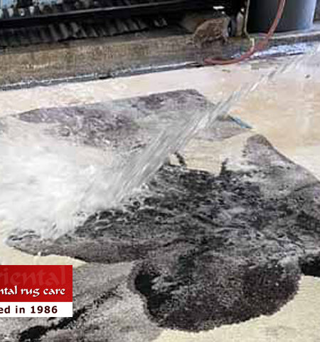 Pet Odor & Stain Removal
