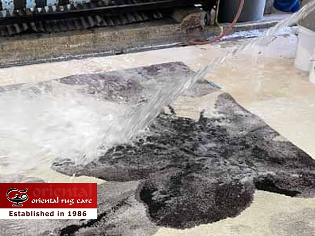 Pet Odor & Stain Removal