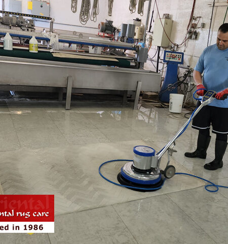 Pet Stain Removal