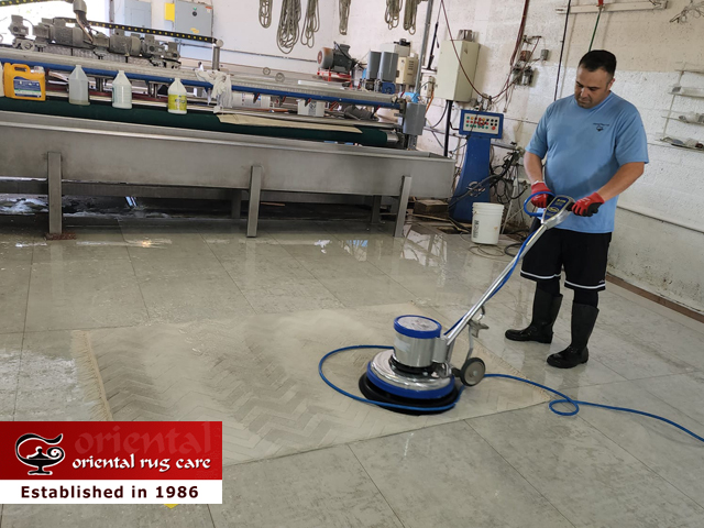 Pet Stain Removal