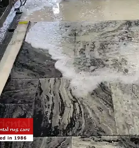 Pet Odor Stain Removal