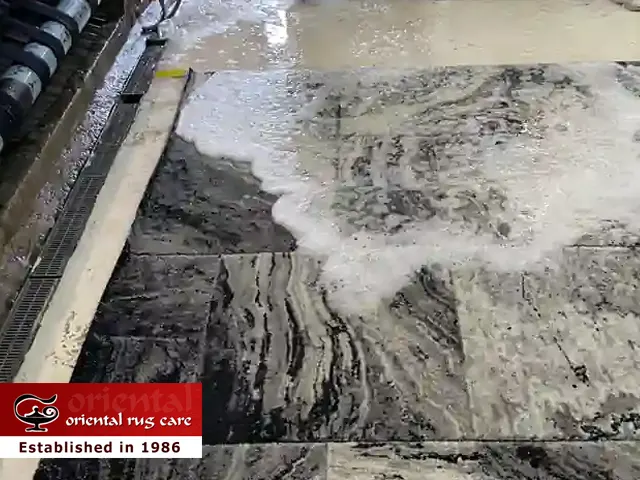 Pet Odor Stain Removal