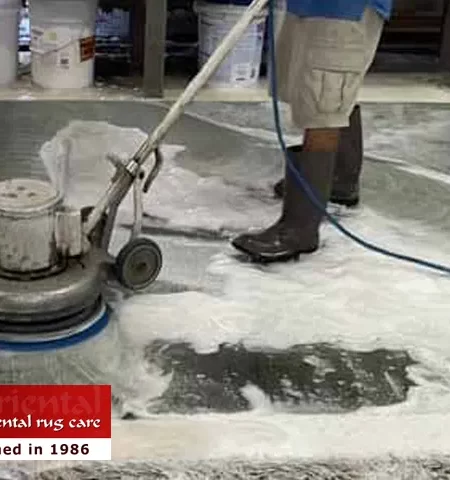 Pet Odor & Stain Removal Services