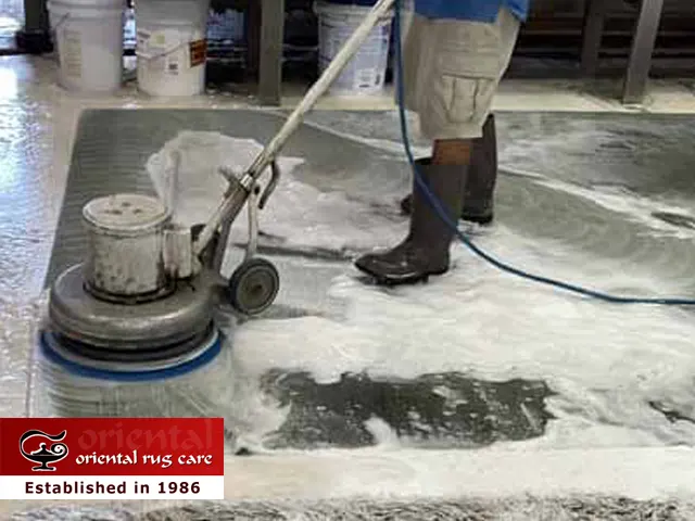 Pet Odor & Stain Removal Services