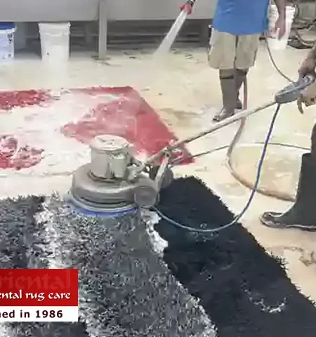 Wool Rug Restoration