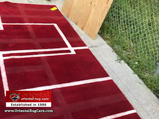 Area Rug Drying Process Florida