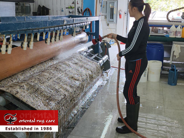 Rug Fringe Cleaning Process