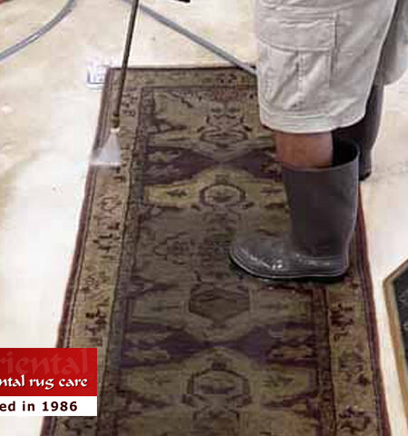 Pet Stain Removal