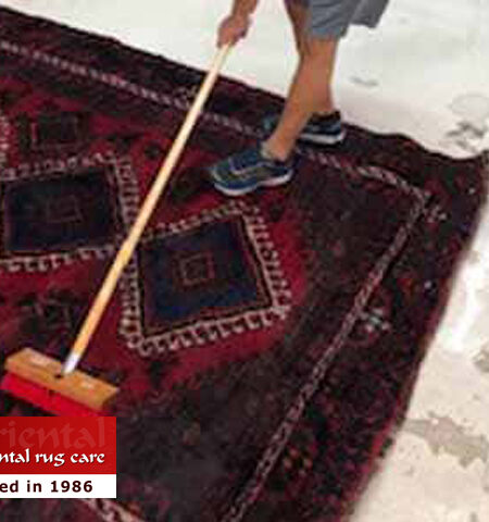 Pet Odor Removal