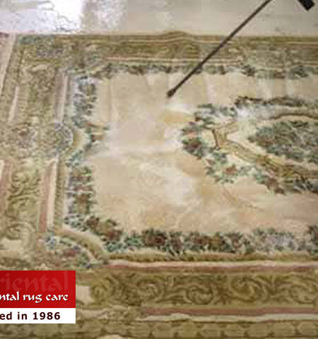 Pet Stain Removal Services