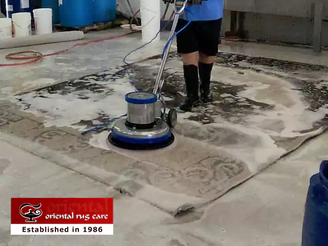 Care Clean Wool Rugs Fort Lauderdale