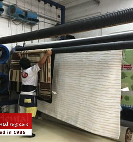 Rug Drying Process