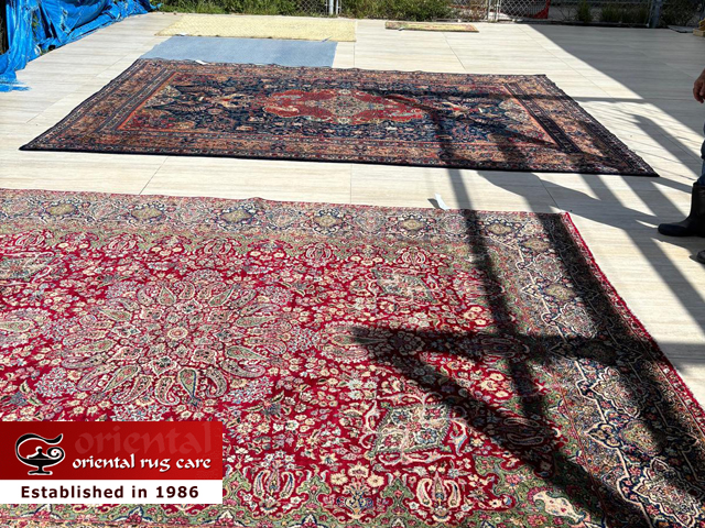 Rug Dusting Process
