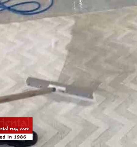 Area Rug Cleaning