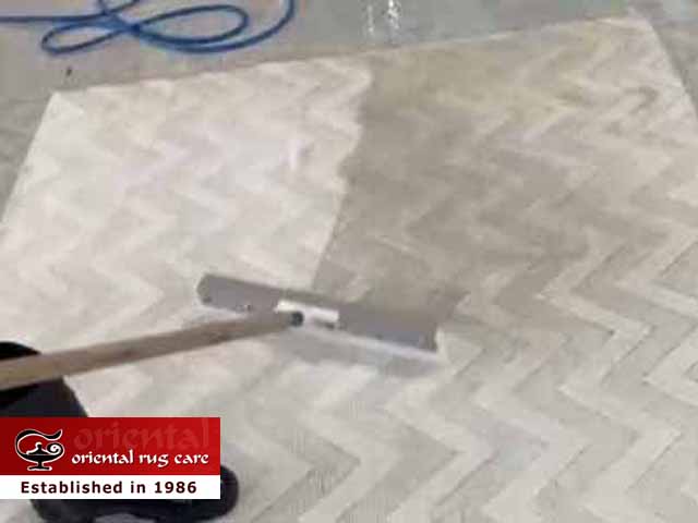 Area Rug Cleaning
