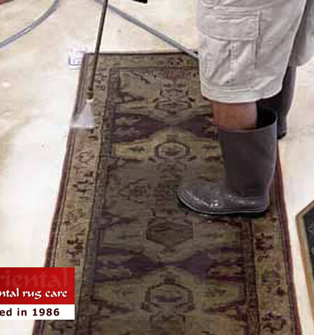 Pet Stain Removal
