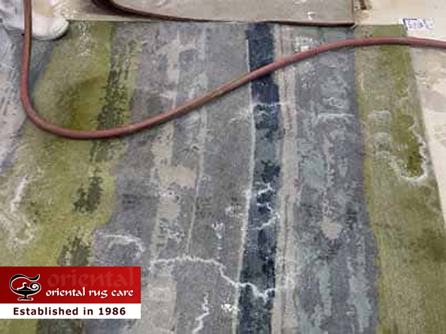 Pet Stain Removal
