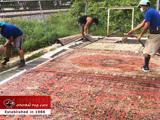 Rug Dusting Process