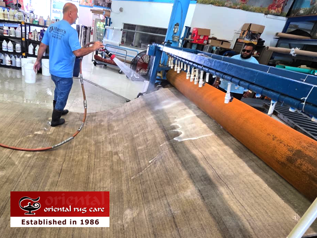 Rug Washing Specialists