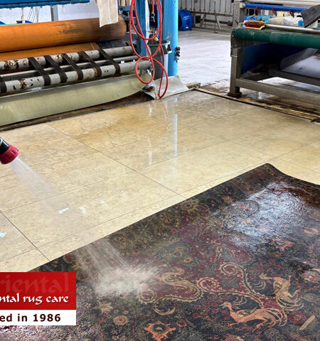 Area Rug Cleaning