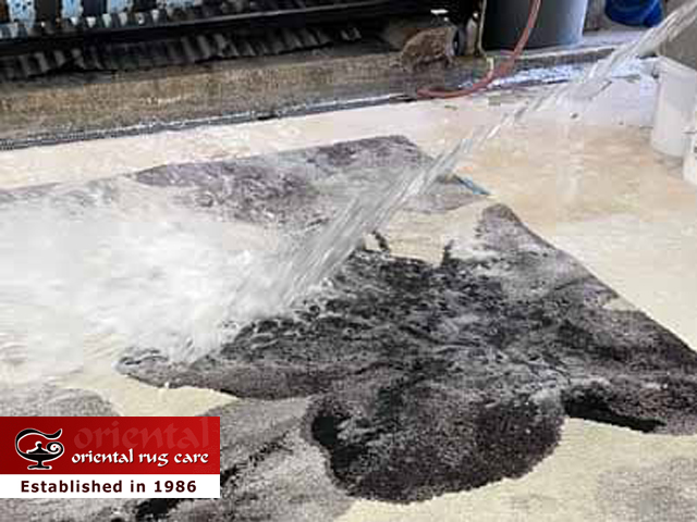 Pet Odor Removal
