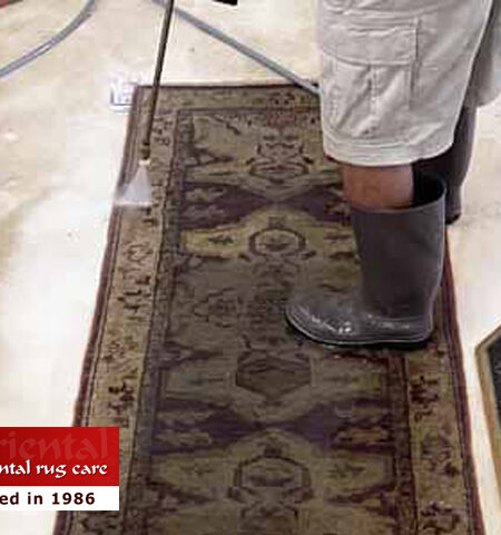 Pet Stain Removal