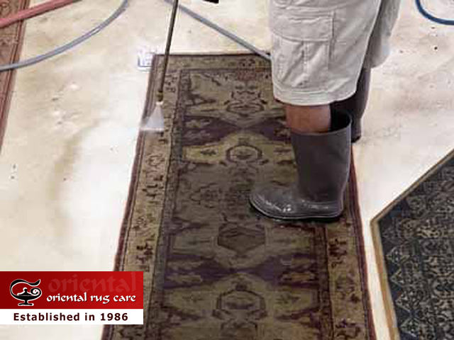 Pet Stain Removal