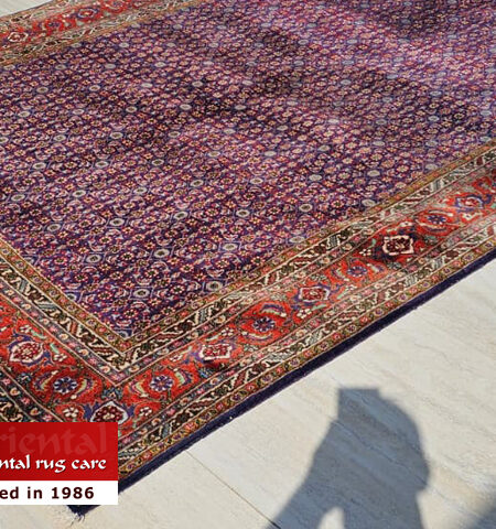 Rug Color Correction