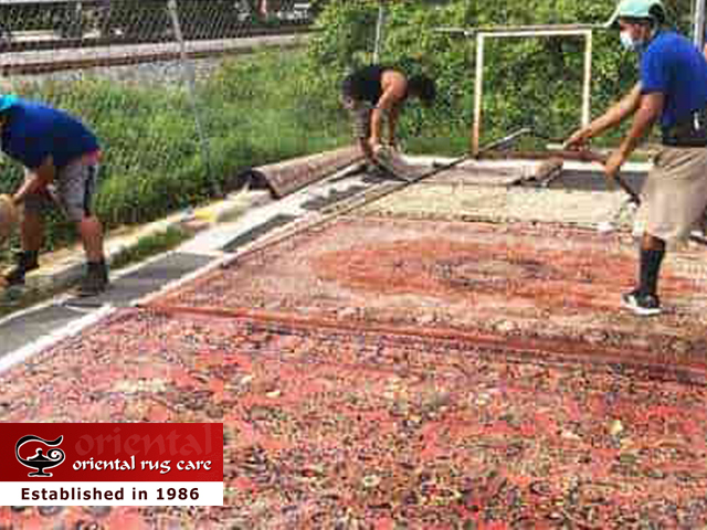 Rug Dusting Process